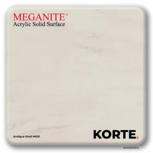 Antique Shell M031
